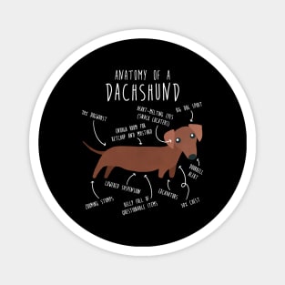 Red Dachshund Dog Anatomy Magnet